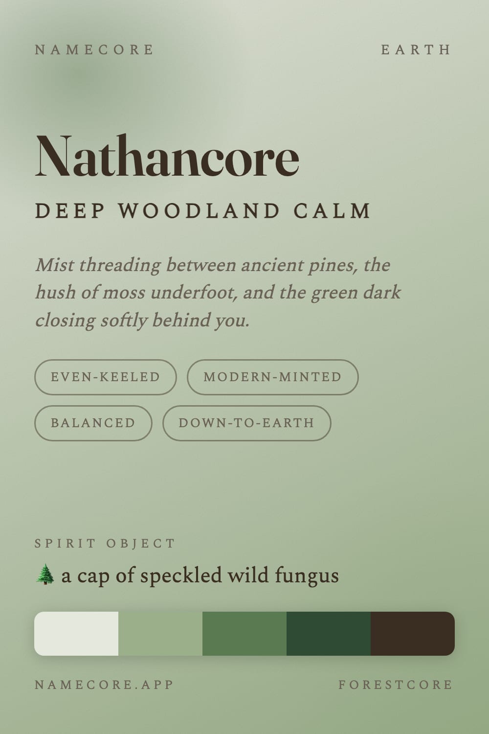 Nathan aesthetic card - Nathancore: a Forestcore palette, Fraunces type and a cap of speckled wild fungus