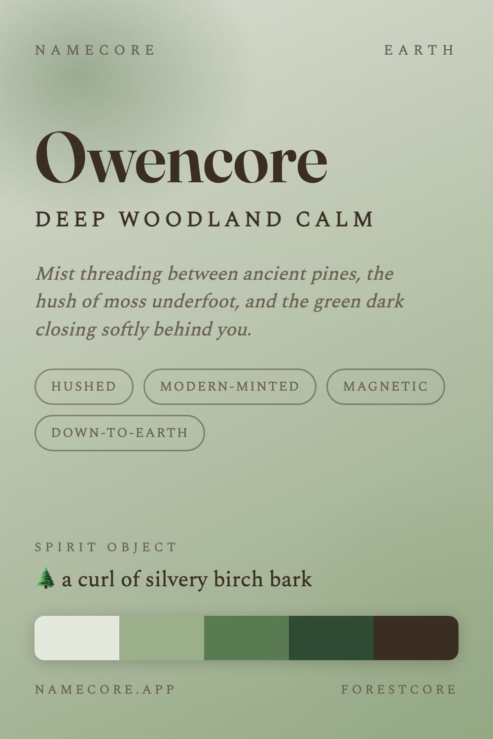 Owen aesthetic card - Owencore: a Forestcore palette, Fraunces type and a curl of silvery birch bark