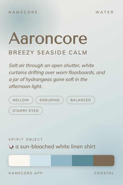 Aaron aesthetic card in the Coastal palette