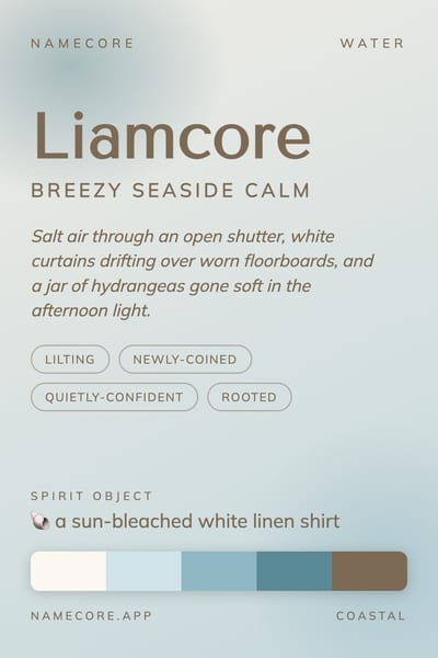 Liam aesthetic card in the Coastal palette